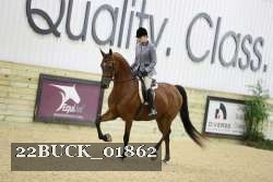 22BUCK_01862 proof