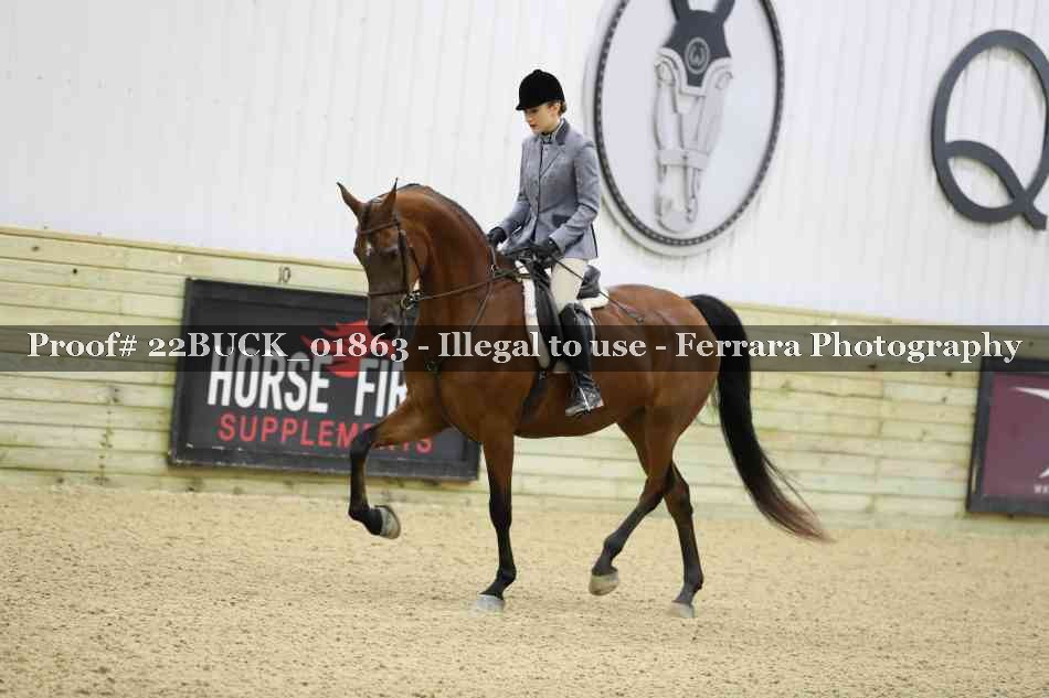 Proof 22BUCK_01863