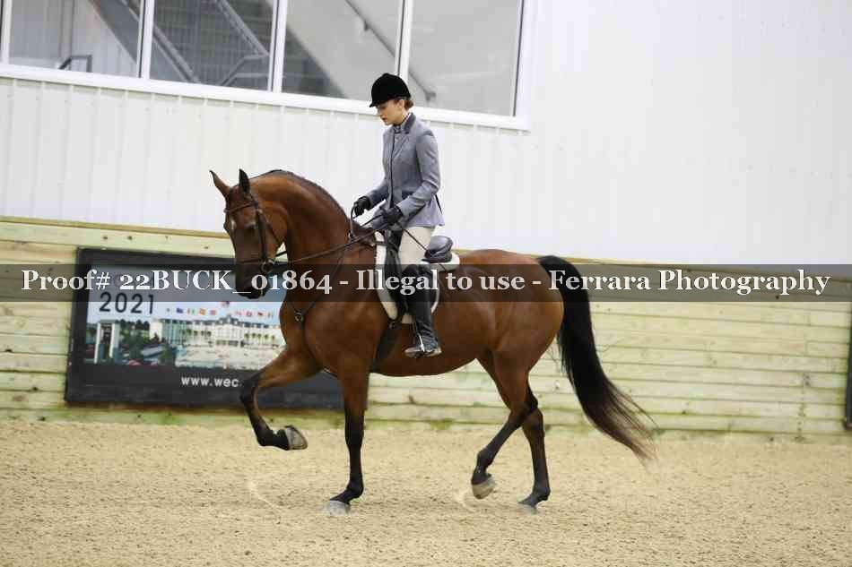 Proof 22BUCK_01864