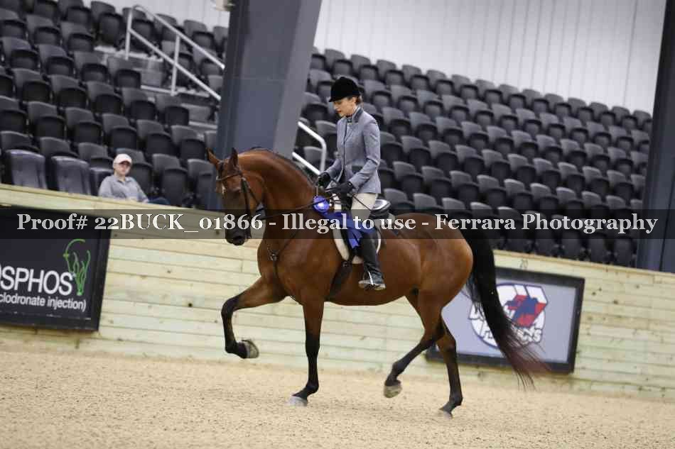 Proof 22BUCK_01866