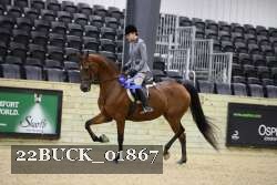 22BUCK_01867 proof