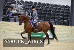 22BUCK_01868 proof