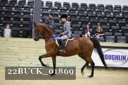 22BUCK_01869 proof