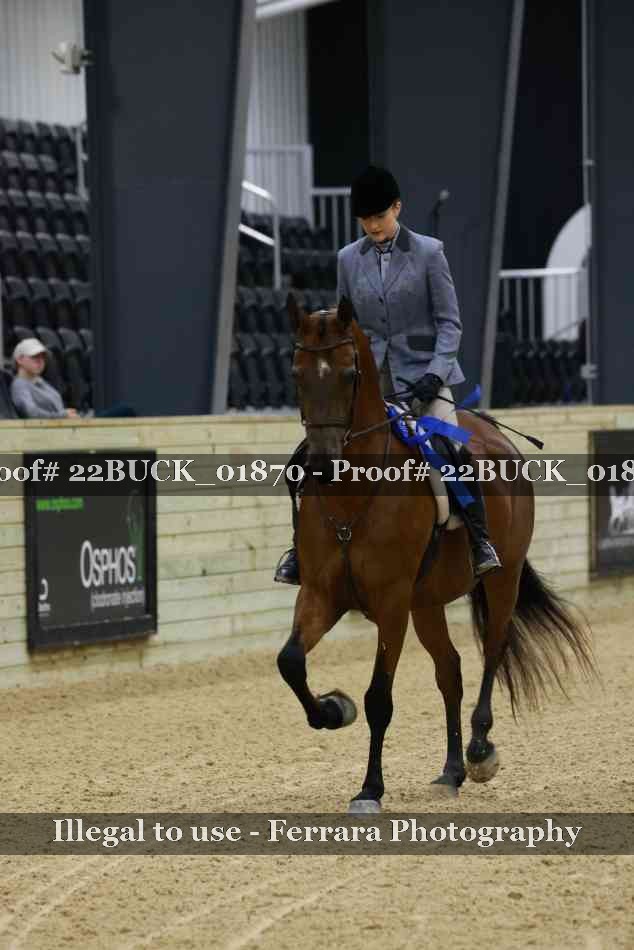 Proof 22BUCK_01870