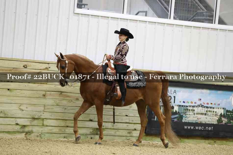 Proof 22BUCK_01871