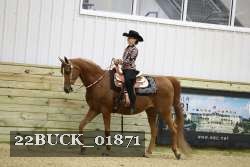 22BUCK_01871 proof