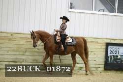 22BUCK_01872 proof