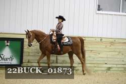 22BUCK_01873 proof