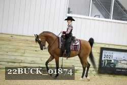 22BUCK_01874 proof