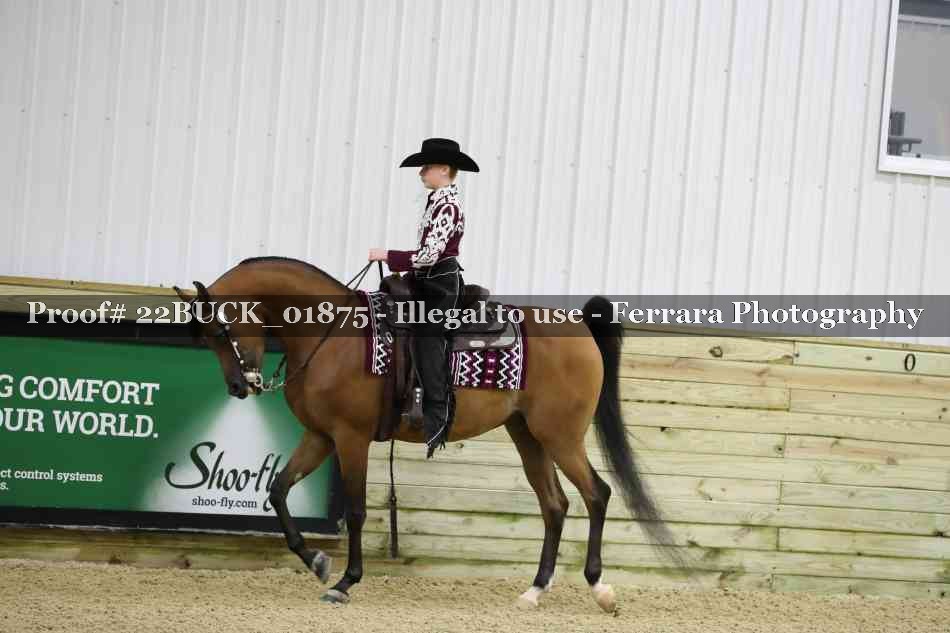 Proof 22BUCK_01875