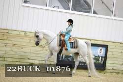 22BUCK_01876 proof