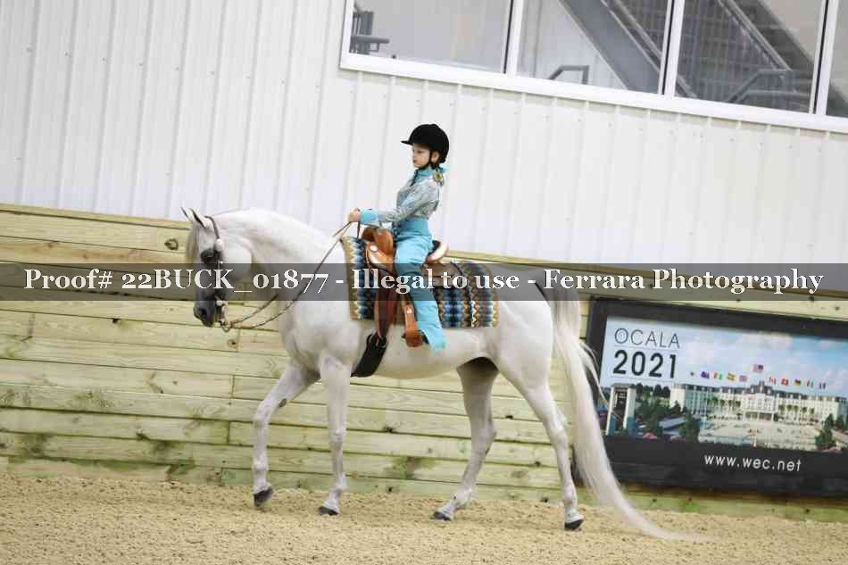 Proof 22BUCK_01877