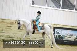 22BUCK_01877 proof
