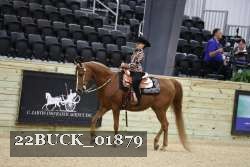 22BUCK_01879 proof