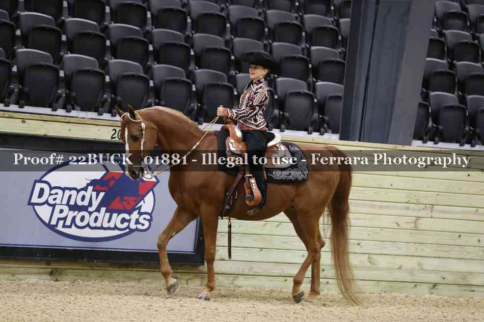 Proof 22BUCK_01881