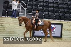 22BUCK_01882 proof