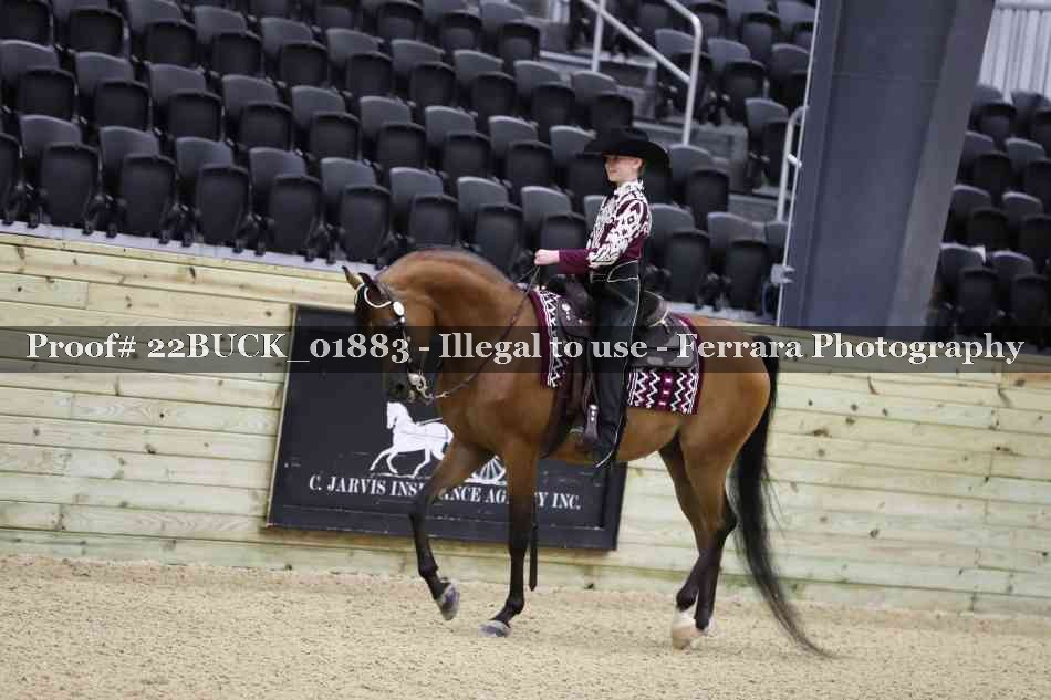 Proof 22BUCK_01883
