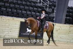22BUCK_01883 proof