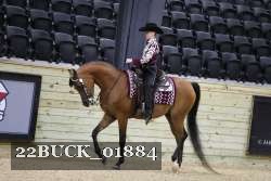 22BUCK_01884 proof