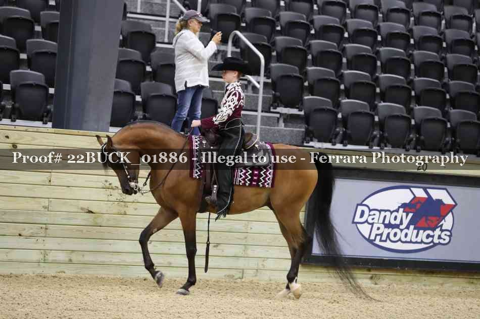 Proof 22BUCK_01886