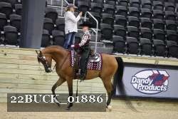 22BUCK_01886 proof
