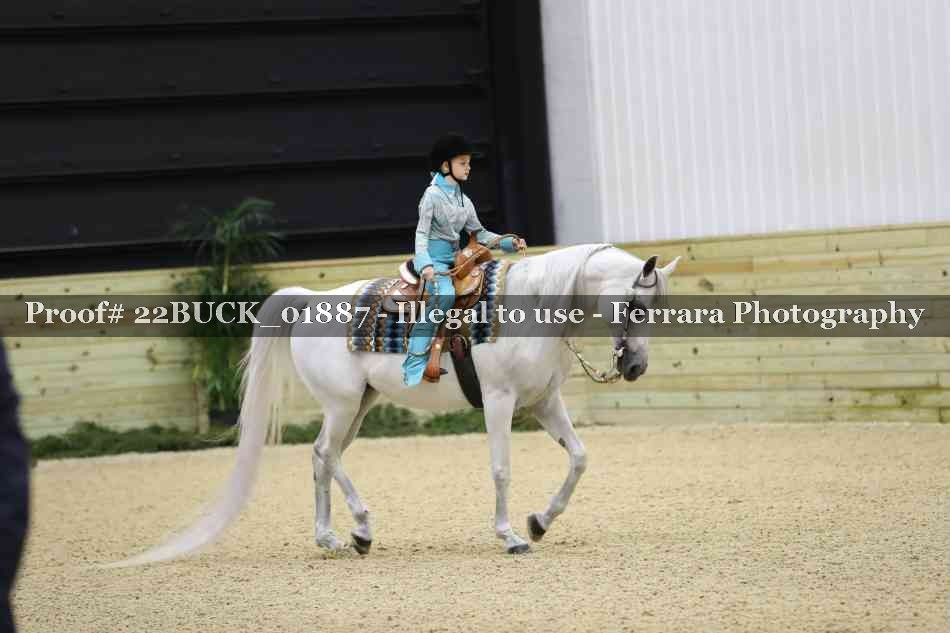 Proof 22BUCK_01887