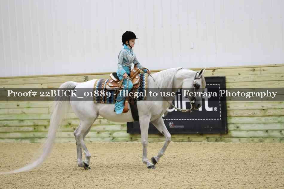 Proof 22BUCK_01889