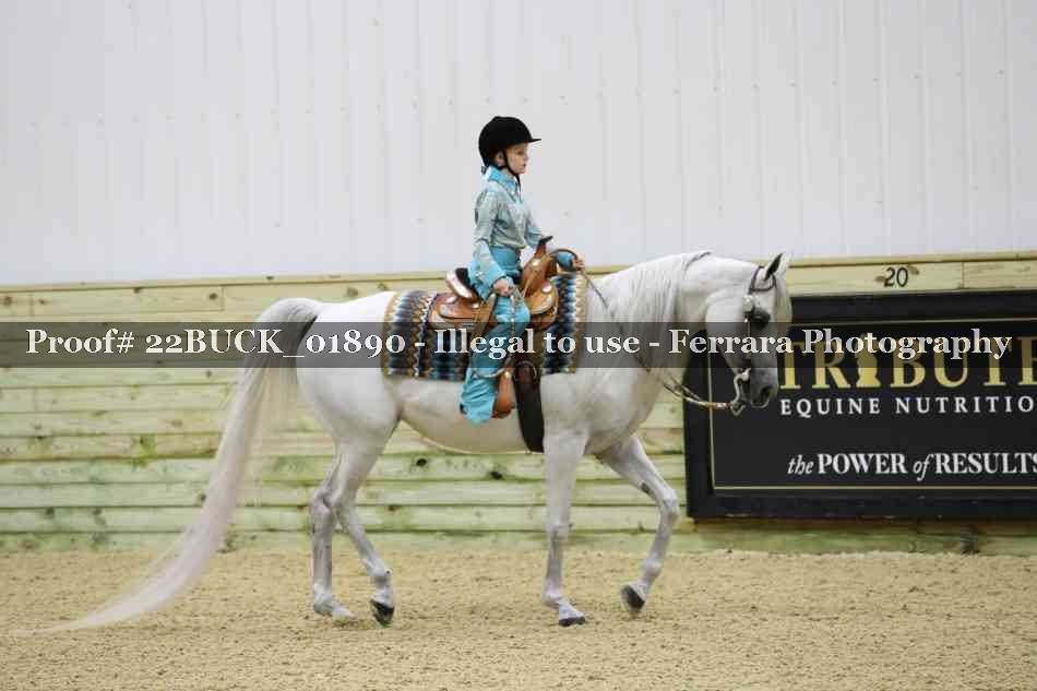 Proof 22BUCK_01890