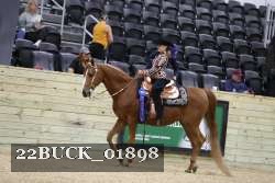 22BUCK_01898 proof