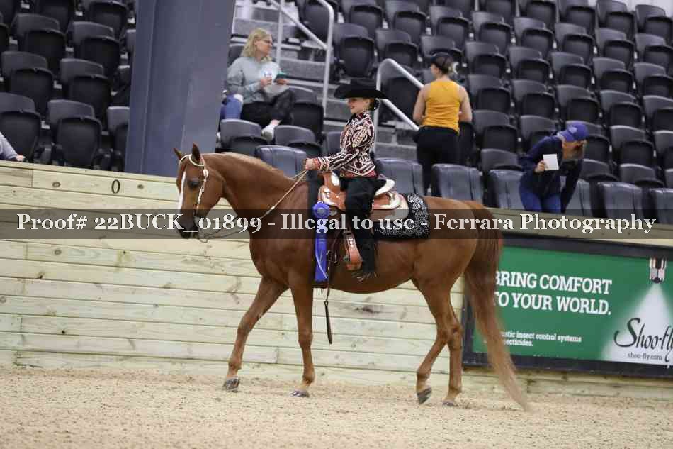 Proof 22BUCK_01899