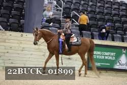22BUCK_01899 proof