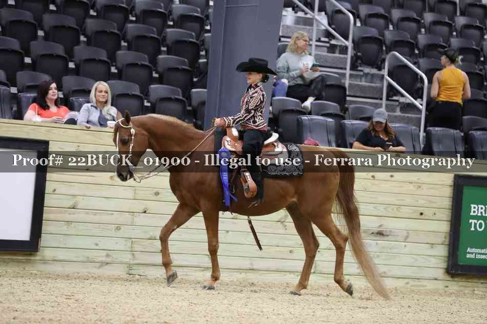 Proof 22BUCK_01900