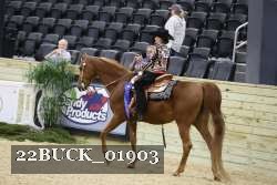 22BUCK_01903 proof