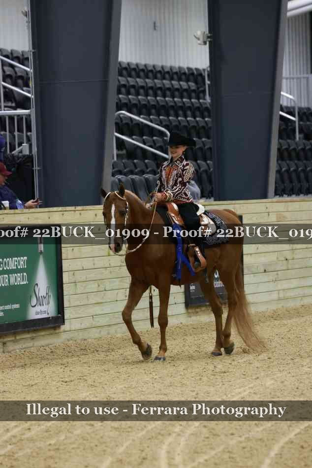 Proof 22BUCK_01909