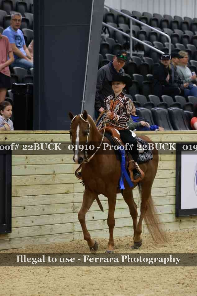 Proof 22BUCK_01910