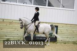 22BUCK_01913 proof