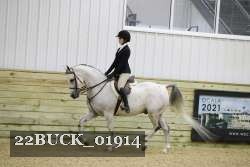 22BUCK_01914 proof