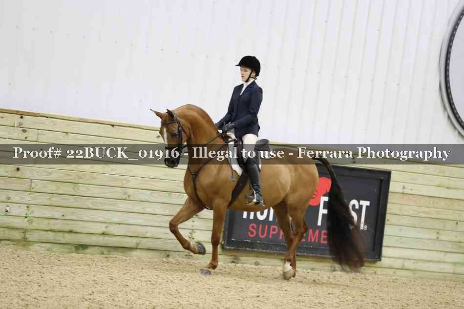 Proof 22BUCK_01916