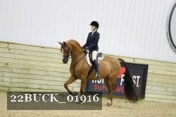 22BUCK_01916 proof