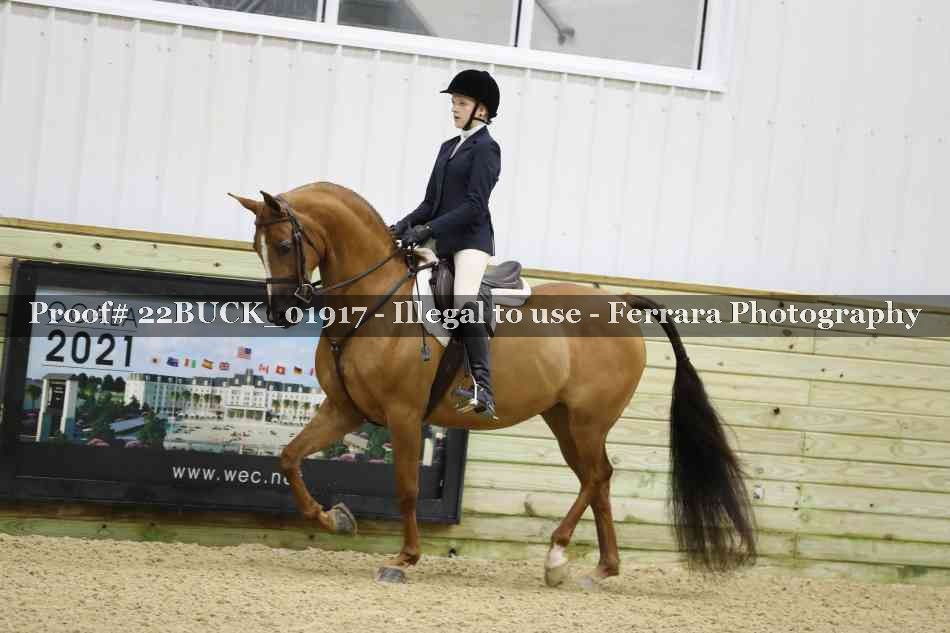 Proof 22BUCK_01917
