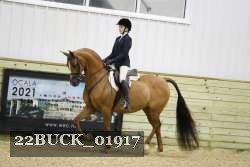 22BUCK_01917 proof