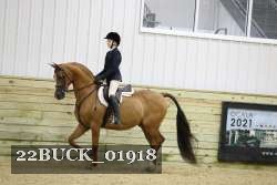 22BUCK_01918 proof