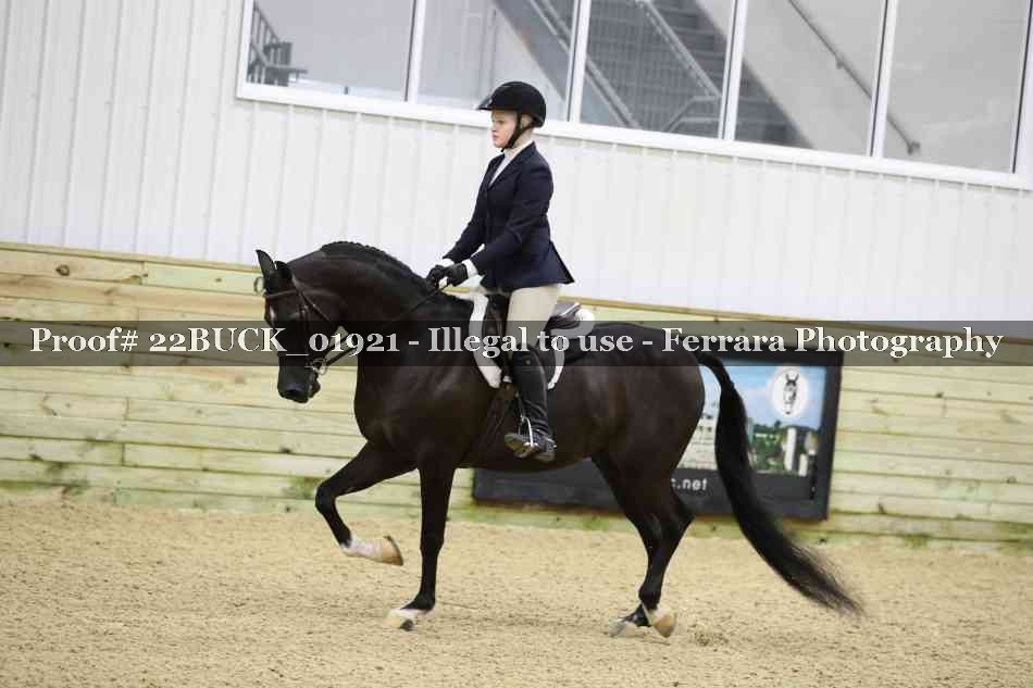 Proof 22BUCK_01921