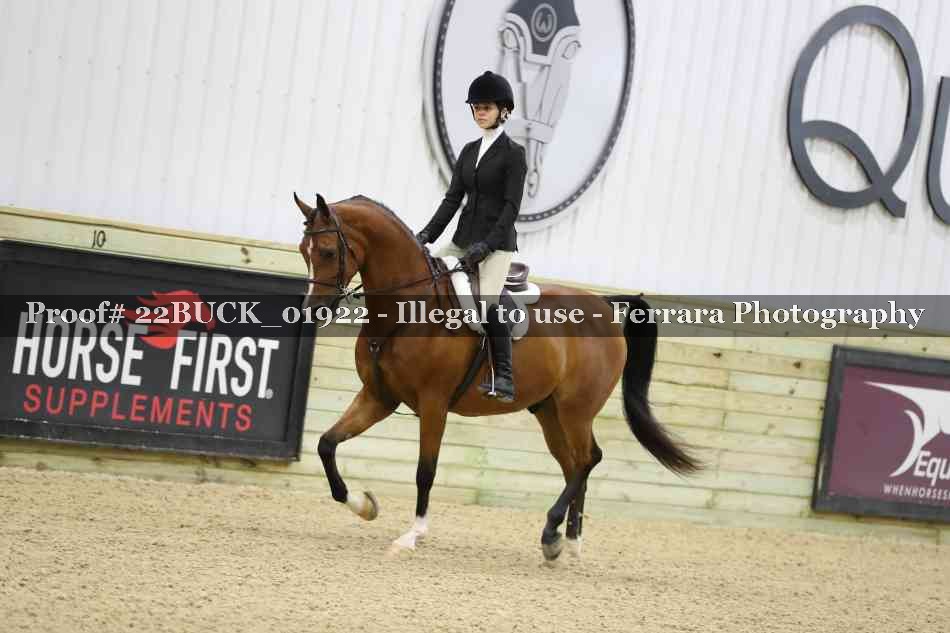 Proof 22BUCK_01922