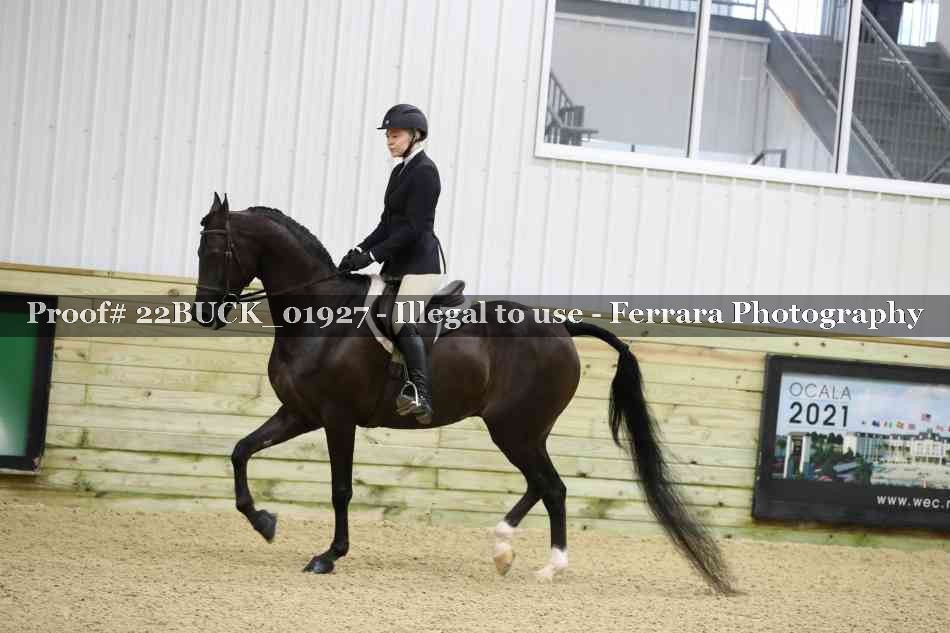 Proof 22BUCK_01927