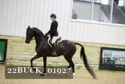 22BUCK_01927 proof