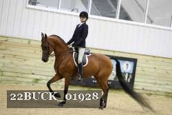 22BUCK_01928 proof