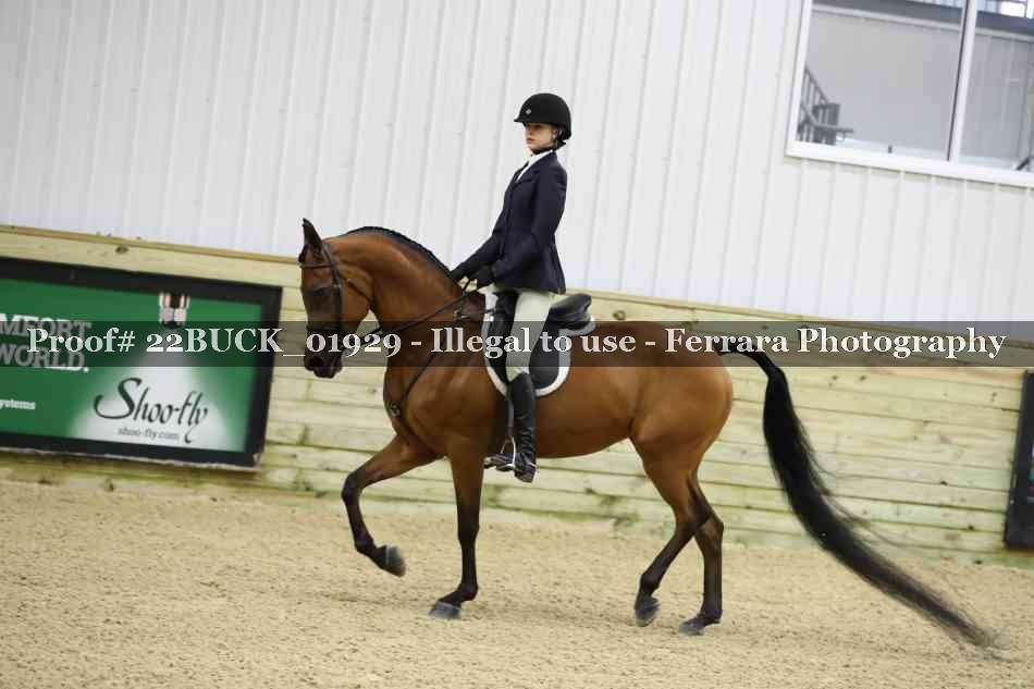 Proof 22BUCK_01929