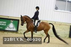 22BUCK_01929 proof