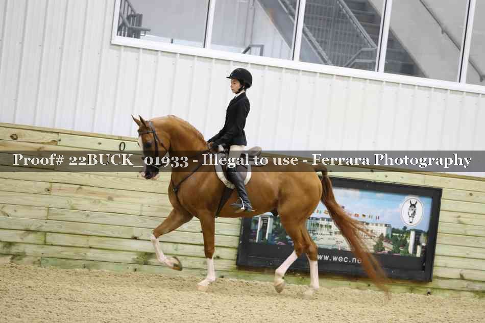 Proof 22BUCK_01933